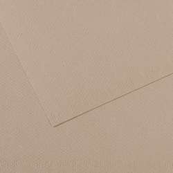CANSON® Mi-Teintes® Farbiges Künstlerpapier, 50 cm x 65 cm, Grau