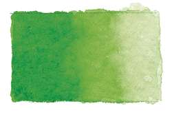 GERSTAECKER Aquarell Studio Aquarellfarbe, 1/1 Näpfchen, Gelbgrün