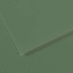CANSON® Mi-Teintes® Farbiges Künstlerpapier, 50 cm x 65 cm, Salbei