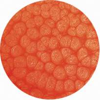 pébéo Fantasy Prisme, 45-ml, Neon Orange