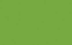 O’color Acryltusche, 60-ml, Frühlingsgrün