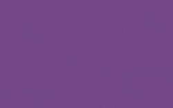 O’color Acryltusche, 60-ml, Lila