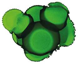 JACQUARD Pinata Color Alkoholtinte, 15 ml, LIME GREEN