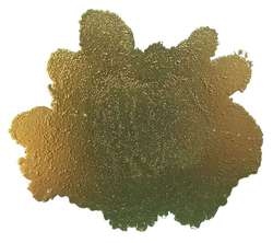 JACQUARD Pinata Color Alkoholtinte, 15 ml, BRASS