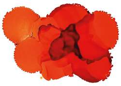 JACQUARD Pinata Color Alkoholtinte, 15 ml, TANGERINE