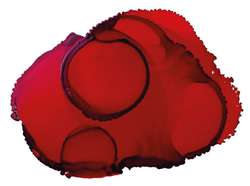 JACQUARD Pinata Color Alkoholtinte, 15 ml, SANTA FE RED