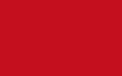 CERNIT® Alkoholtinte, 20 ml, Lippenrot