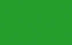 CERNIT® Alkoholtinte, 20 ml, Eidechse