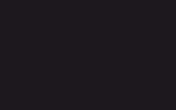CERNIT® Alkoholtinte, 20 ml, Schwarz