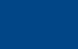 CERNIT® Alkoholtinte, 20 ml, Marineblau