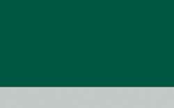 Tannengrün