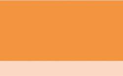Neonorange