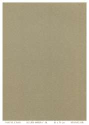 SENNELIER Pastel Card Pastellkarton, 410 g/qm, 50 cm x 70 cm, Hellgrau