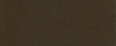 HOLBEIN Acrylic Gouache, 40-ml-Tuben, 40-ml-Tube, Raw Umber