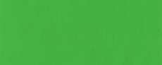 HOLBEIN Acrylic Gouache, 40-ml-Tuben, 40-ml-Tube, Light Green