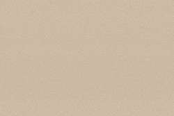 Clairefontaine PASTELGRAIN® Pastellpapier, 50 cm x 70 cm, Sand