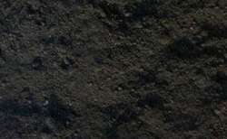 Schwarz (Powercolor), 40 g