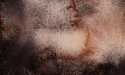 Metamorphoses Mystery of Black