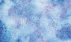 Metamorphoses Blue Dream