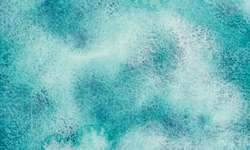 Metamorphoses Mint Dream