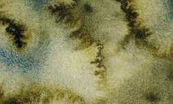 Metamorphoses Forest Brume