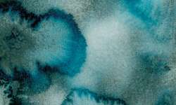 Metamorphoses Mystery of Green