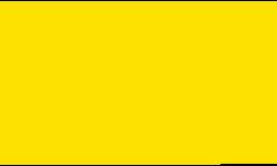 Pentel® Pointliner S40 Fineliner Colour Dye Ink , 0,4 mm, 0.4 mm, Gelb