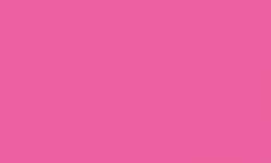 Pentel® Pointliner S40 Fineliner Colour Dye Ink , 0,4 mm, 0.4 mm, Rosa