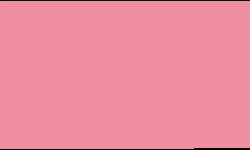 Pentel® Pointliner S40 Fineliner Colour Dye Ink , 0,4 mm, 0.4 mm, Blassrosa