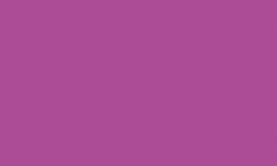 Pentel® Pointliner S40 Fineliner Colour Dye Ink , 0,4 mm, 0.4 mm, Fuchsia