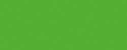 folia® Tonpapier, DIN A4, grasgrün