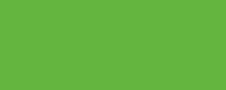 folia® Plakatkarton, neongrün