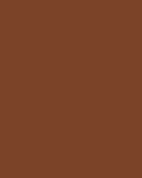 FOLIA® Fotokarton, 300g/qm, 50 x 70 cm, Schokobraun