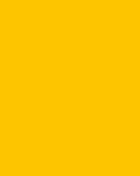 FOLIA® Fotokarton, 300g/qm, 50 x 70 cm, Goldgelb