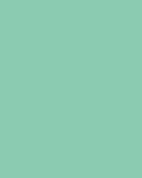FOLIA® Fotokarton, 300g/qm, 50 x 70 cm, Mint