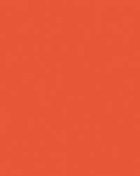 FOLIA® Fotokarton, 300g/qm, 50 x 70 cm, Orange