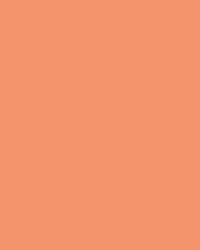 FOLIA® Fotokarton, 300g/qm, 50 x 70 cm, Lachs
