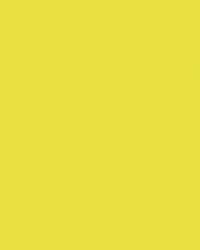 FOLIA® Fotokarton, 300g/qm, 50 x 70 cm, Limone