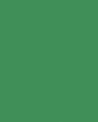 FOLIA® Fotokarton, 300g/qm, 50 x 70 cm, Moosgrün