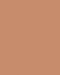 FOLIA® Fotokarton, 300g/qm, 50 x 70 cm, Hellbraun