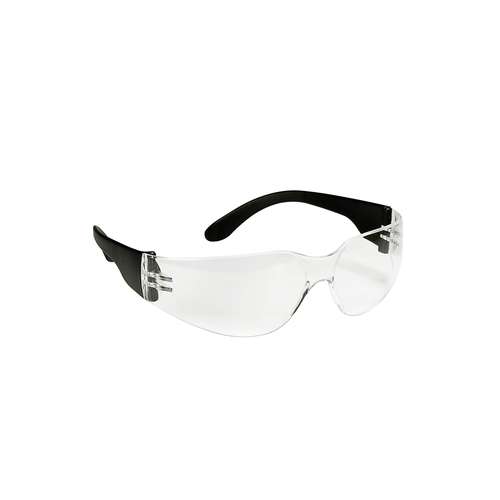 ECOBRA Standard Schutzbrille 
