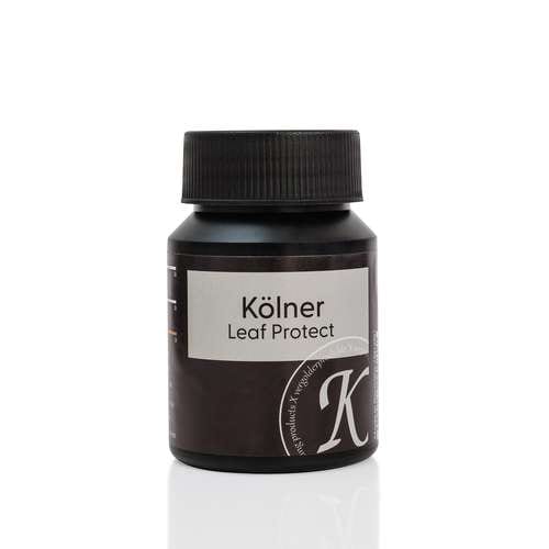 Kölner Leaf Protect Überzugslack Schlagmetall 